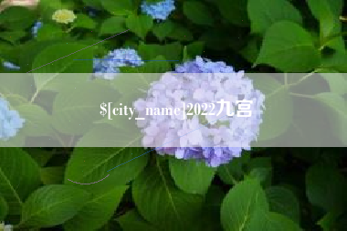 广饶2022九宫