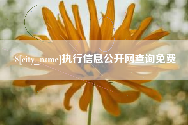 广饶执行信息公开网查询免费