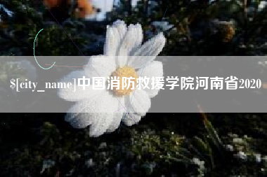 广饶中国消防救援学院河南省2020